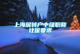 上海居转户中级职称社保要求