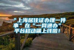 “上海居住证办理一件事”在“一网通办”平台移动端上线啦！