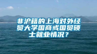 非沪籍的上海对外经贸大学国商或国贸硕士就业情况？