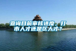 查询目前审核进度，打市人才还是区人才？