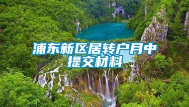 浦东新区居转户月中提交材料