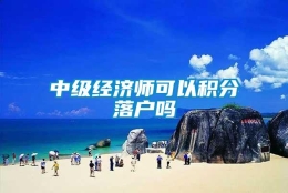 中级经济师可以积分落户吗