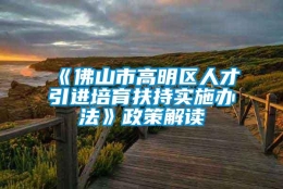 《佛山市高明区人才引进培育扶持实施办法》政策解读