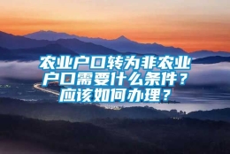 农业户口转为非农业户口需要什么条件？应该如何办理？