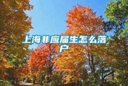 上海非应届生怎么落户