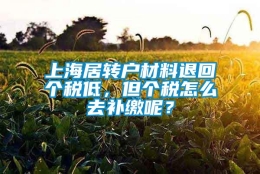 上海居转户材料退回个税低，但个税怎么去补缴呢？