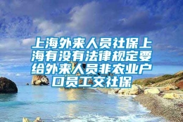 上海外来人员社保上海有没有法律规定要给外来人员非农业户口员工交社保