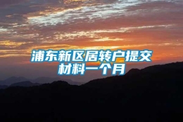 浦东新区居转户提交材料一个月