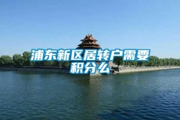 浦东新区居转户需要积分么