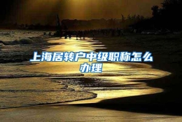 上海居转户中级职称怎么办理