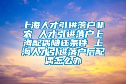 上海人才引进落户非农 人才引进落户上海配偶随迁条件 上海人才引进落户后配偶怎么办