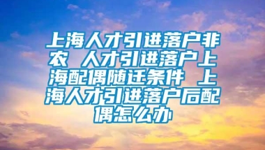 上海人才引进落户非农 人才引进落户上海配偶随迁条件 上海人才引进落户后配偶怎么办