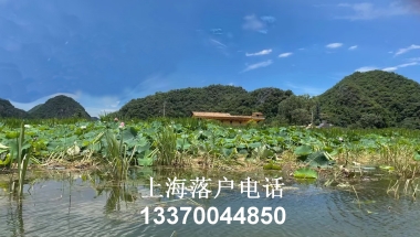 上海居住证积分办理_居住证积分电话咨询13370044850