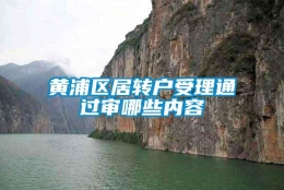 黄浦区居转户受理通过审哪些内容