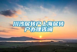 川沙居转户上海居转户办理咨询