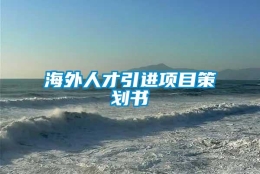 海外人才引进项目策划书