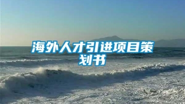 海外人才引进项目策划书