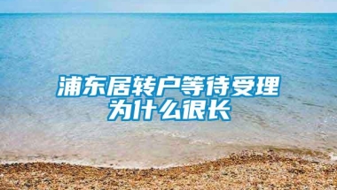 浦东居转户等待受理为什么很长