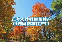 上海人才引进集体户口如何转常住户口