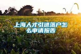 上海人才引进落户怎么申请报告