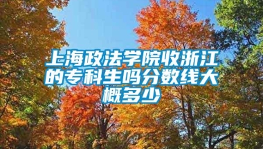 上海政法学院收浙江的专科生吗分数线大概多少