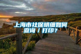 上海市社保明细如何查询／打印？