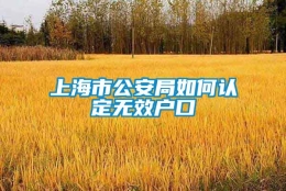 上海市公安局如何认定无效户口