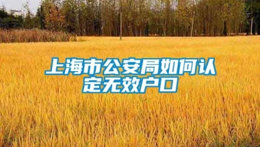 上海市公安局如何认定无效户口