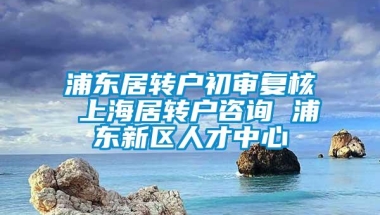 浦东居转户初审复核 上海居转户咨询 浦东新区人才中心