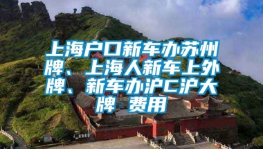 上海户口新车办苏州牌、上海人新车上外牌、新车办沪C沪大牌 费用