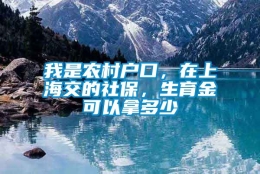 我是农村户口，在上海交的社保，生育金可以拿多少