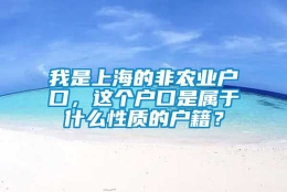 我是上海的非农业户口，这个户口是属于什么性质的户籍？