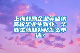 上海鼓励企业等吸纳高校毕业生就业：毕业生就业补贴怎么申请？