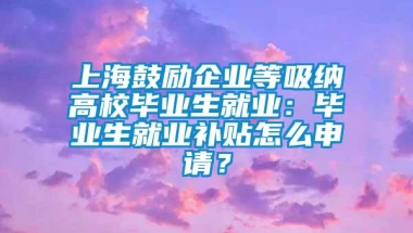 上海鼓励企业等吸纳高校毕业生就业：毕业生就业补贴怎么申请？