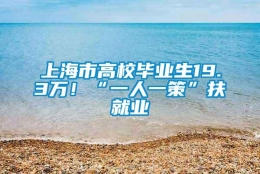 上海市高校毕业生19.3万！“一人一策”扶就业