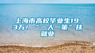 上海市高校毕业生19.3万！“一人一策”扶就业