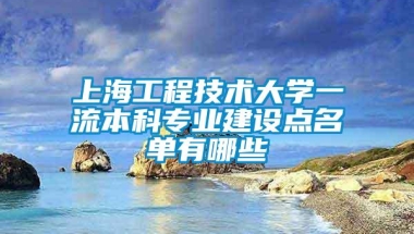 上海工程技术大学一流本科专业建设点名单有哪些