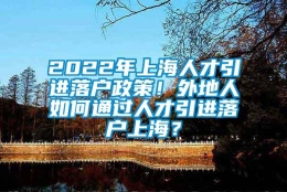 2022年上海人才引进落户政策！外地人如何通过人才引进落户上海？