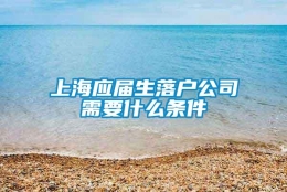 上海应届生落户公司需要什么条件