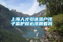 上海人才引进落户孩子监护权必须跟着吗