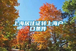 上海居住证转上海户口条件