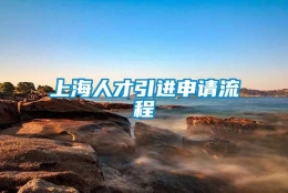 上海人才引进申请流程