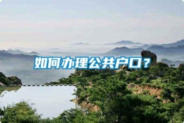 如何办理公共户口？