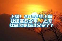 上涨！2022年上海社保基数公布，上海社保缴费标准又变了？