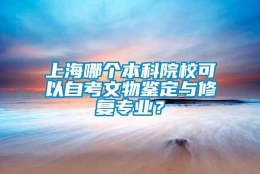 上海哪个本科院校可以自考文物鉴定与修复专业？