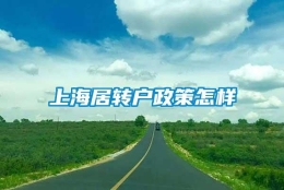 上海居转户政策怎样