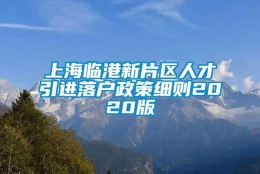 上海临港新片区人才引进落户政策细则2020版