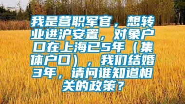 我是营职军官，想转业进沪安置，对象户口在上海已5年（集体户口），我们结婚3年，请问谁知道相关的政策？