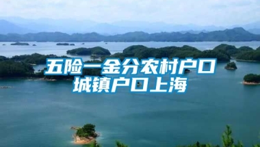 五险一金分农村户口城镇户口上海