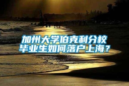 加州大学伯克利分校毕业生如何落户上海？